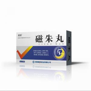 磁朱丸